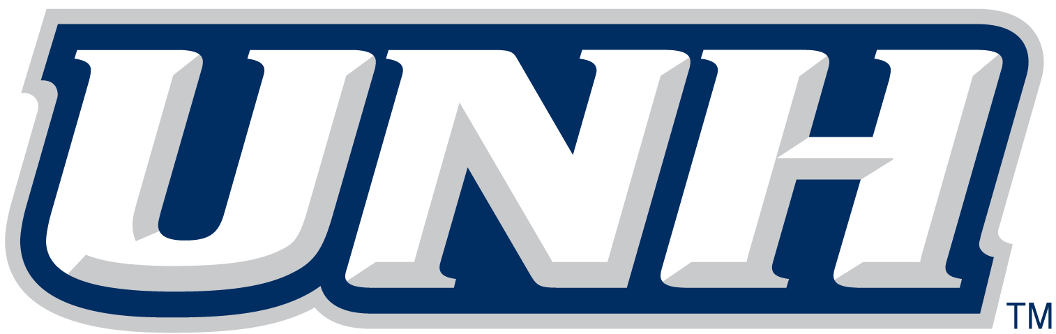 New Hampshire Wildcats 2000-Pres Wordmark Logo v3 iron on transfers for fabric